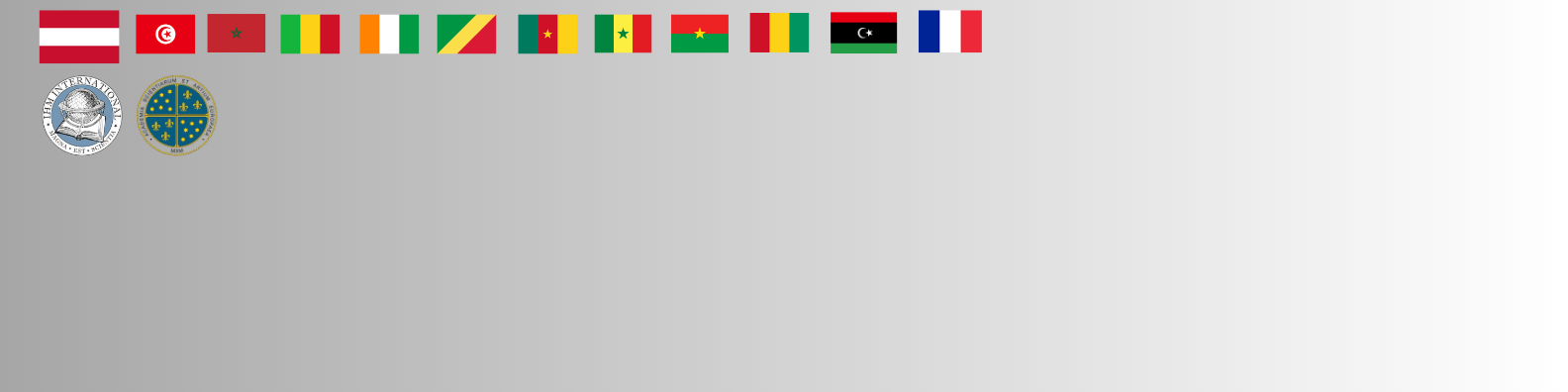 IHM AFRICA banner